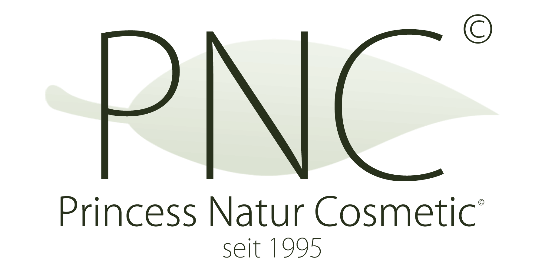 Princess Natur Cosmetic logo 2022
